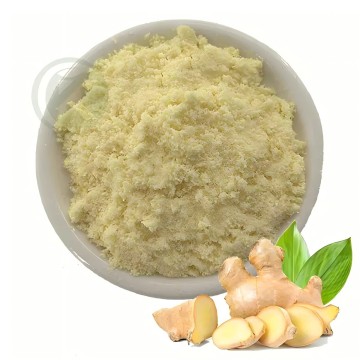 Ginger Extract Powder