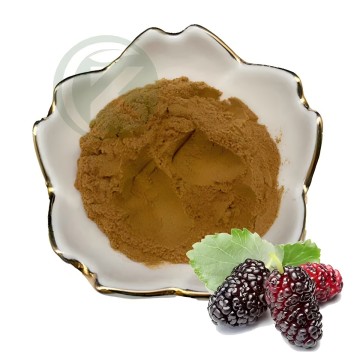 Mulberry Leaf Extract DNJ Powder (1-Deoxynojirimycin)