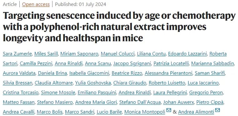 Sage extract slows ageing and promises a new era of healthy longevity.jpg
