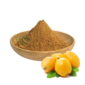 Wholesale Pure Corosolic Acid Powder