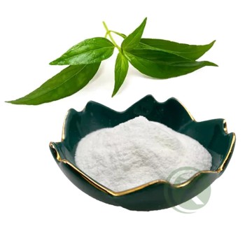 Andrographis Paniculata Leaf Extract Andrographolide Powder