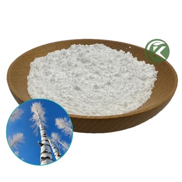 Wholesale Pure Natural Betulin Powder