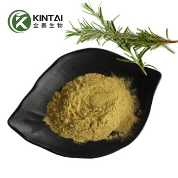 Bulk Pure Carnosic Acid Powder
