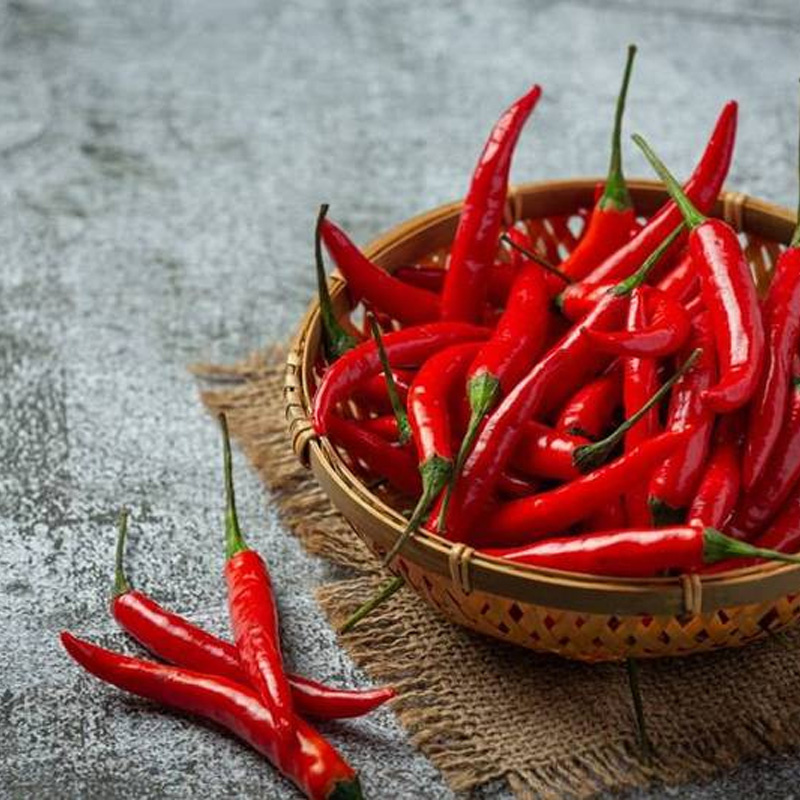 Wholesale Pure Capsaicin Powder