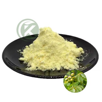 Natural and Pure Esculetin Powder