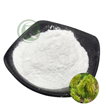Huperzia Serrata Extract Huperzine A 1% Powder