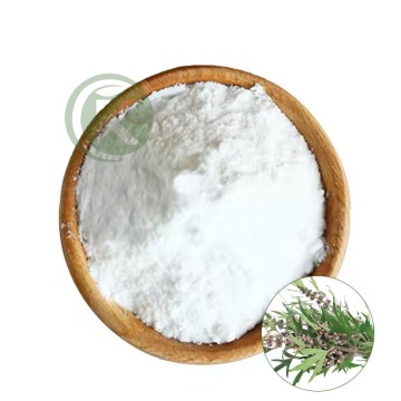Motherwort Herb Extract Stachydrine Hydrochloride Powder
