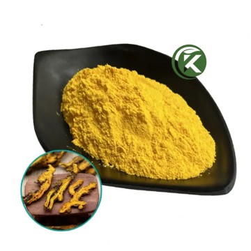 Bulk And Pure Berberine Hydrochloride Powder