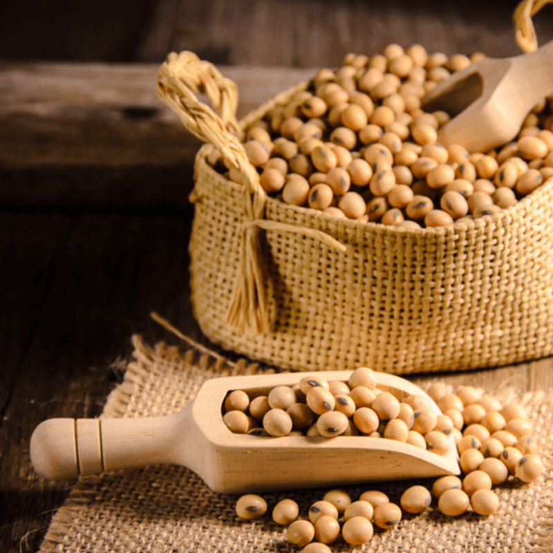 Natural Soybean Extract Stigmasterol Powder