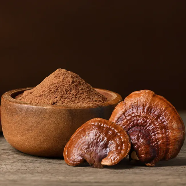 reishi-mushroom-powder.webp