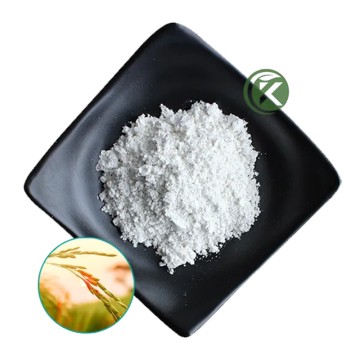 Wholesale Bulk and Pure Gamma Oryzanol Powder y Oryzanol