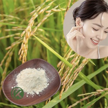 Wholesale Natural Ceramide  Powder