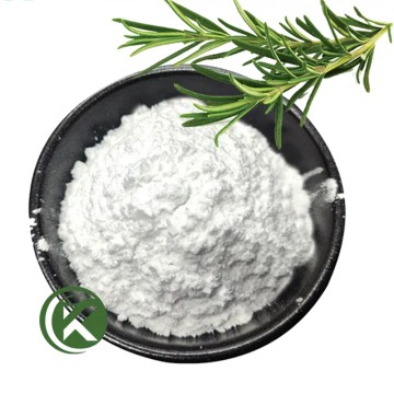 Wholesale Pure Ursolic Acid Powder