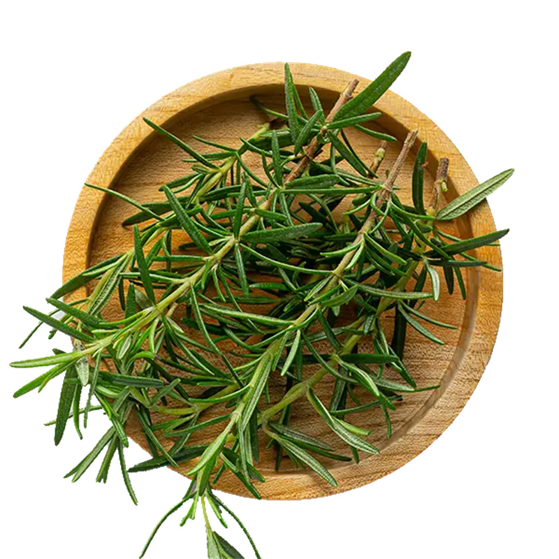 Wholesale Pure Ursolic Acid Powder
