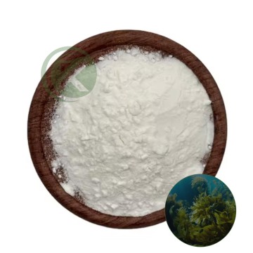Brown Seaweed Extract Fucoidan Powder