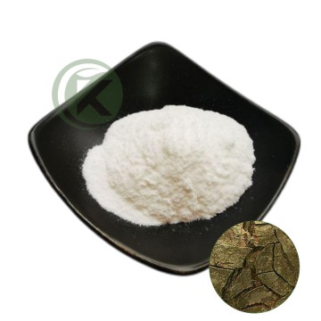 The Bark of Horse Chestnut Extract Esculin Powder
