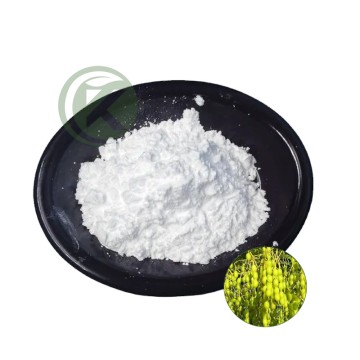 The Fruit Of Sophora Japonica Extract Sophoricoside Powder