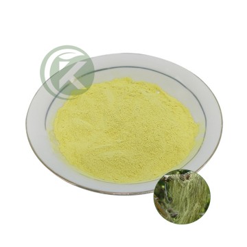 Usnea Diffracta Vain Extract Usnea Acid Powder