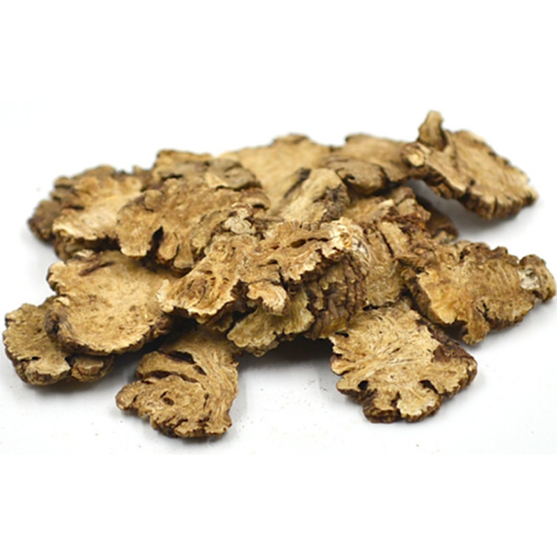 Chuan Xiong: The Sichuan Rhizome that Moves Qi and Blood