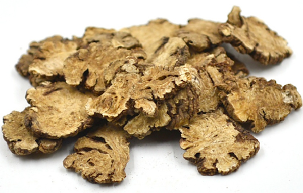 Chuan Xiong: Rimpang Sichuan yang Menggerakkan Qi dan Darah