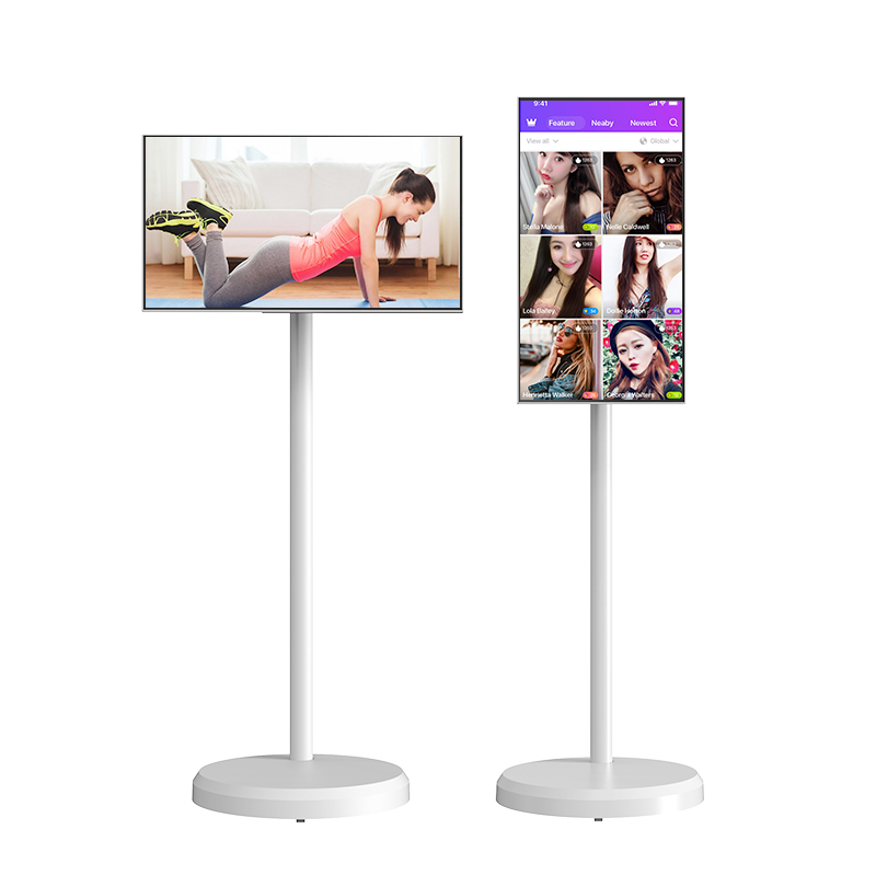 Brief Analysis of Revenue from Rollable Smart Touch Screens in the Middle East