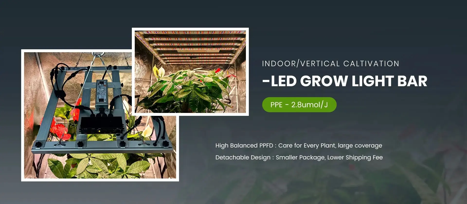 Grow Light 240w