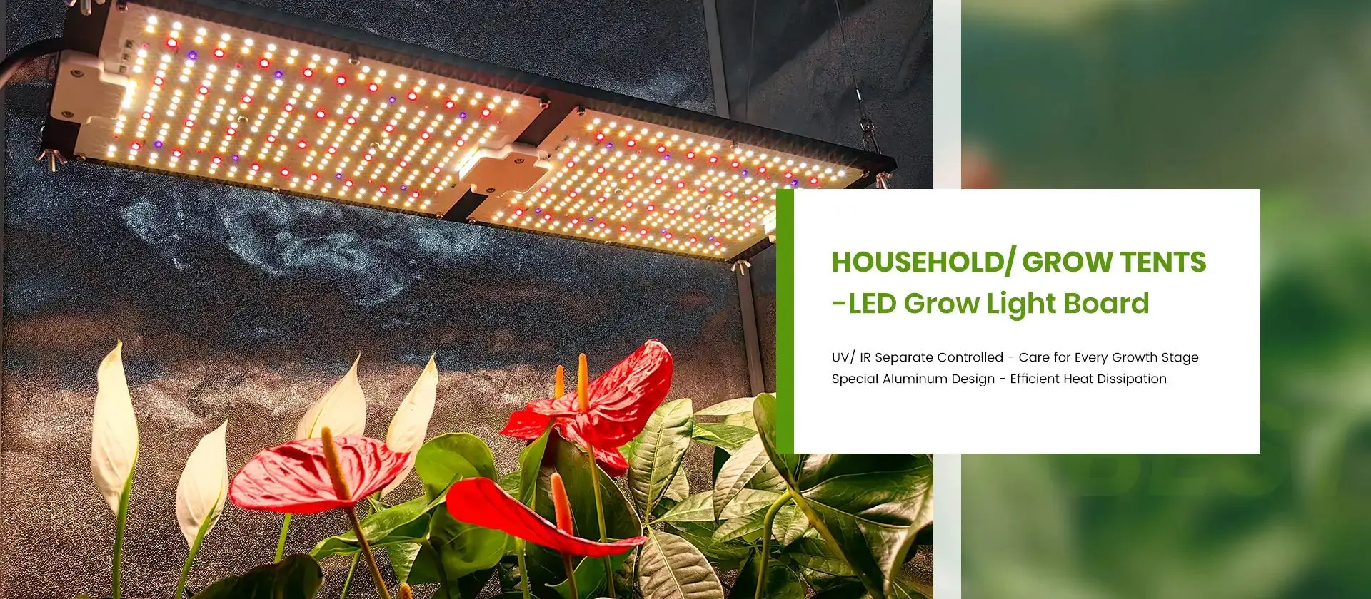 Grow Light 240w