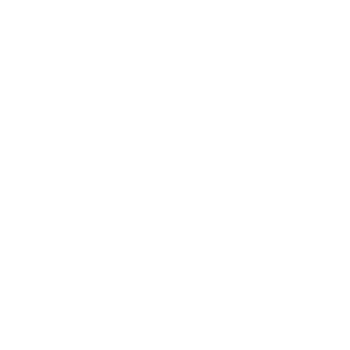 rz1