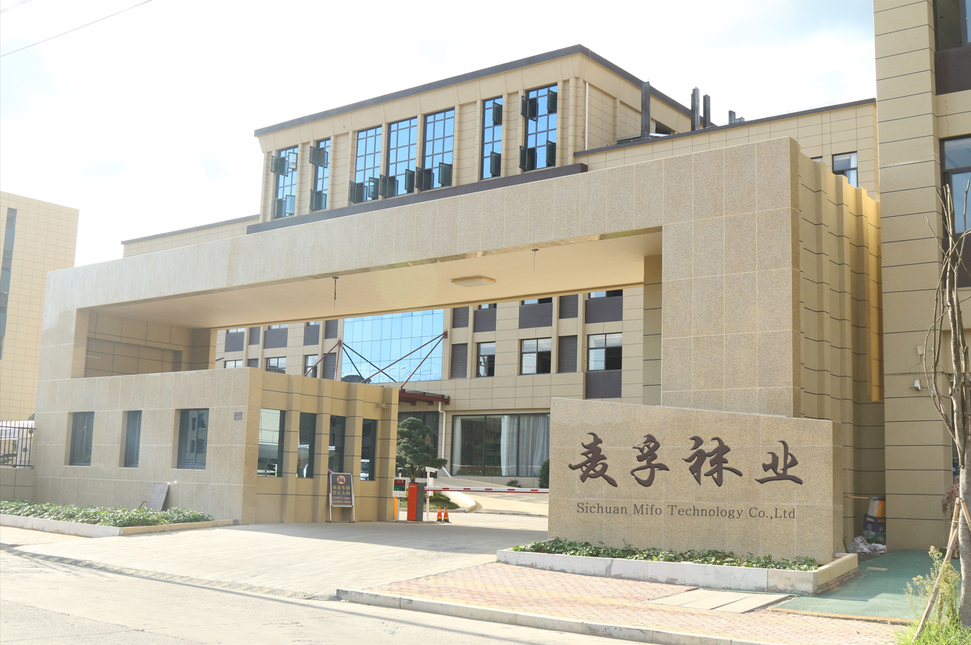 За межами теми: Як технологія Sichuan MiFo створює новий стандарт у шкарпетках