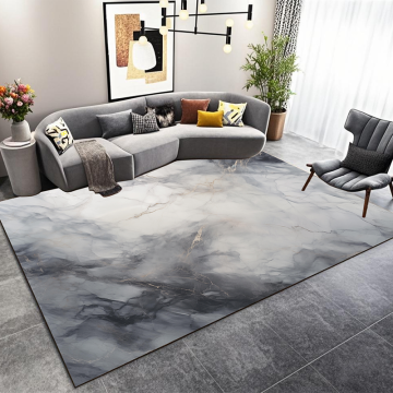 Cozy Modern Chenille Printed Rug