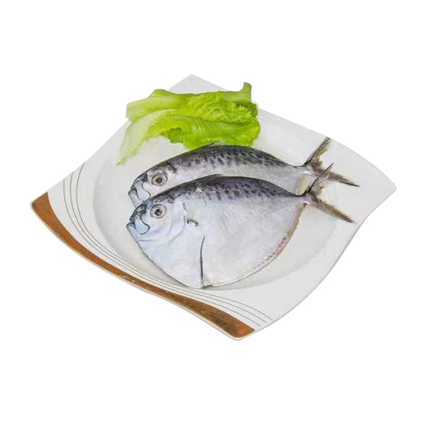 Frozen Moonfish Frozen Seafood Sea Frozen Fish