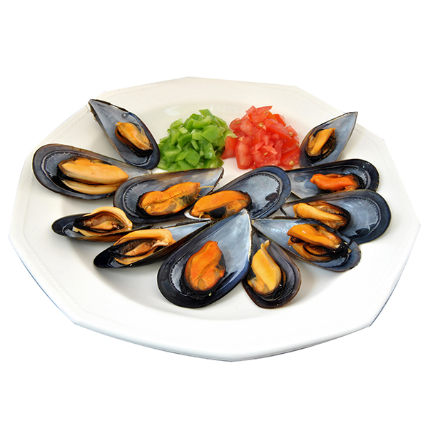 Frozen Boiled Half Shell Mussel Mytilus Edulis