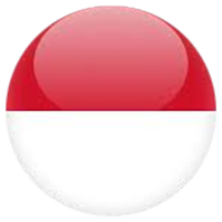 Kleanland in Indonesia electrostatic precipitator smoke purifier filter