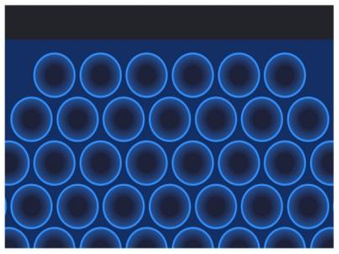 Milestone of ESP Cells (2)