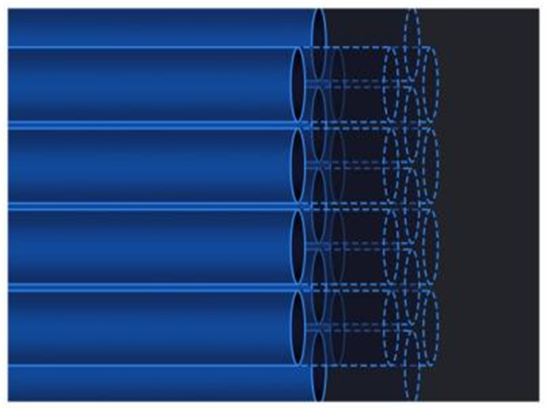 Milestone of ESP Cells (3)