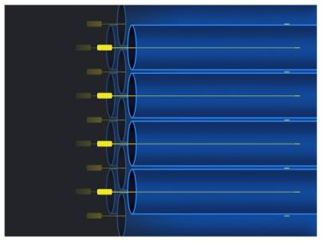 Milestone of ESP Cells (4)