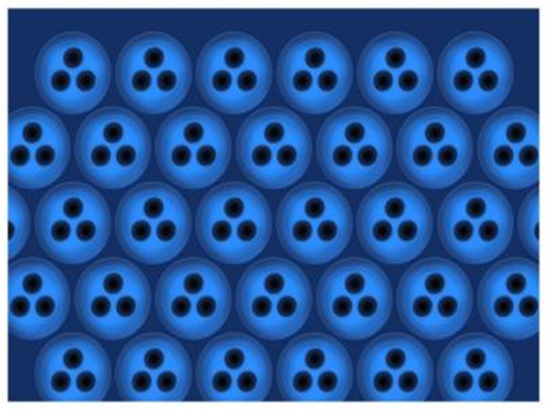 Milestone of ESP Cells (6)