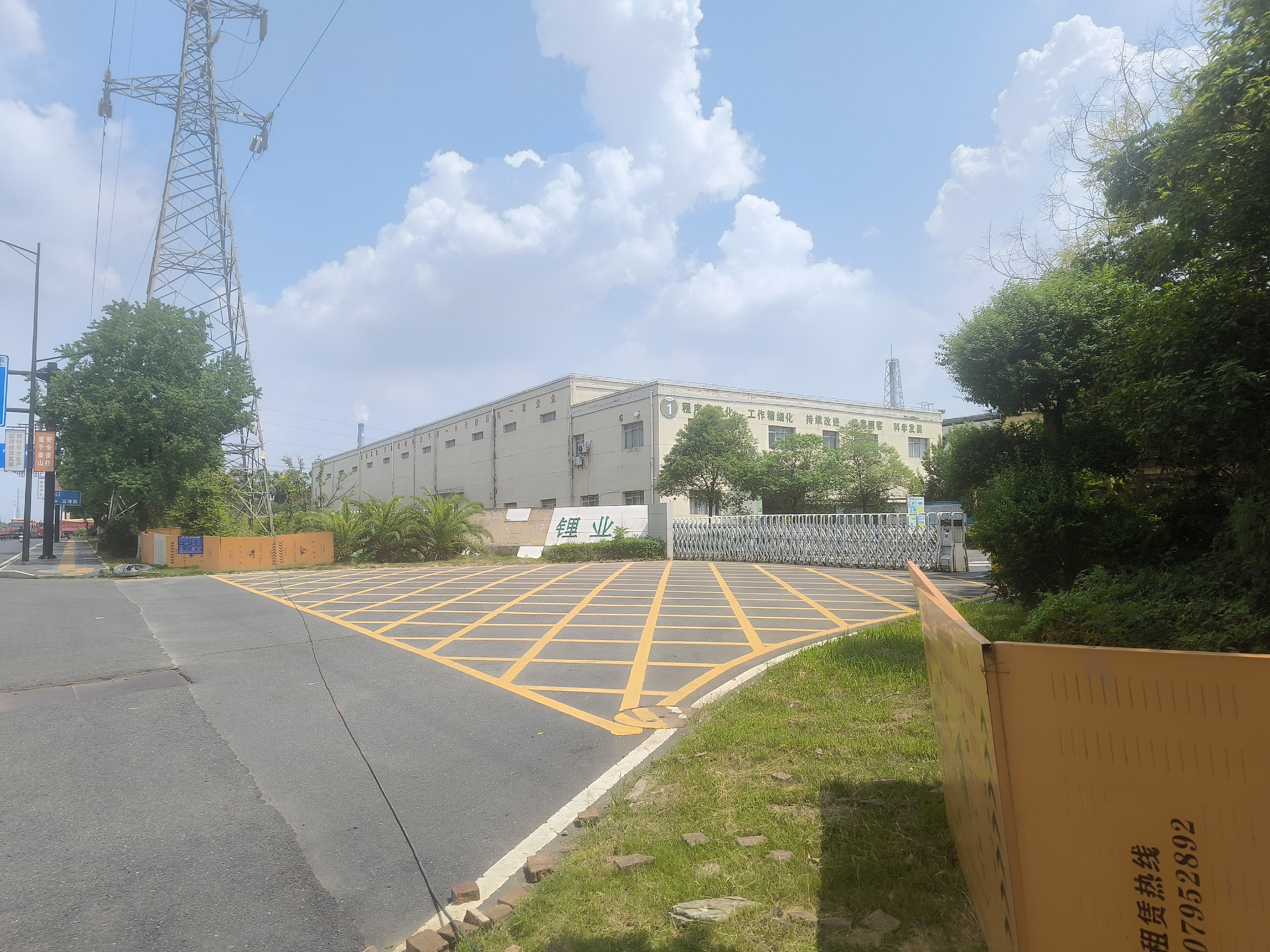 Ganfeng Lithium Group Co
