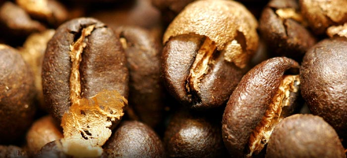 coffee roasting smoke fume odor cleaner