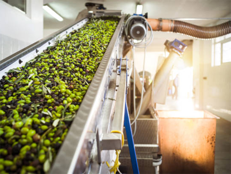 olive oil