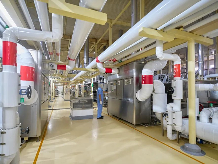 electrostatic air cleaning for food processing instant noodle