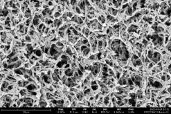 PVDF-01