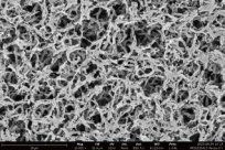 PVDF-03