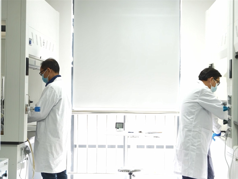 R&D11
