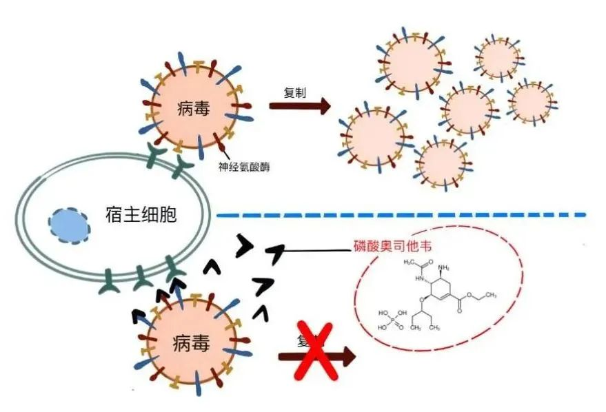 Are you ready for the flu?