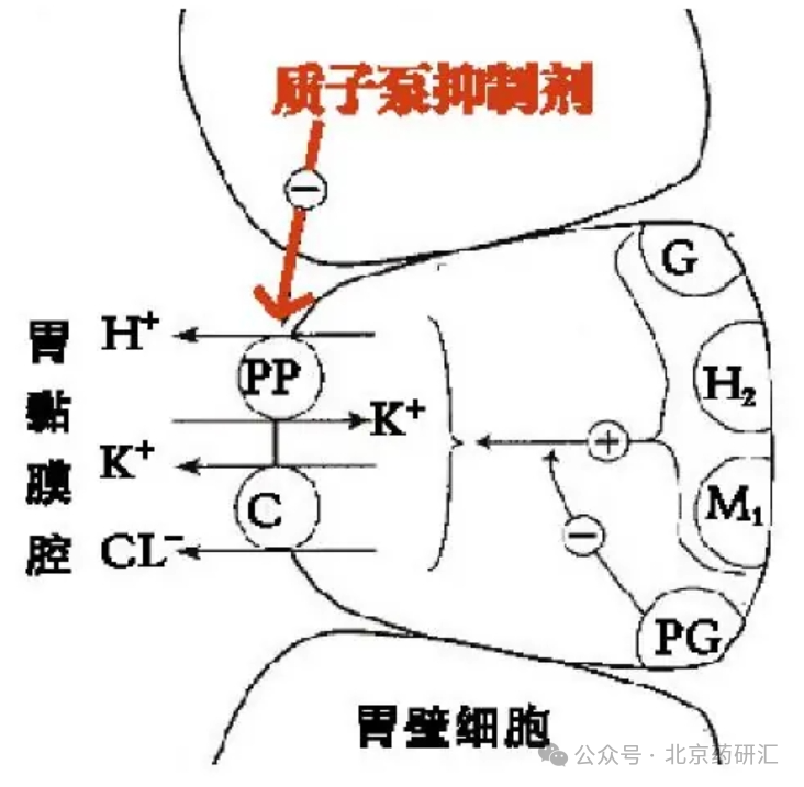 Ilaprazole: A New Height in Acid Suppression, A New Hope for Gastric Diseases