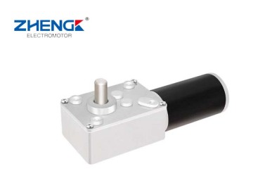 DC Worm Gear Motor JSX634 ZWL-31ZY Worm Gearbox