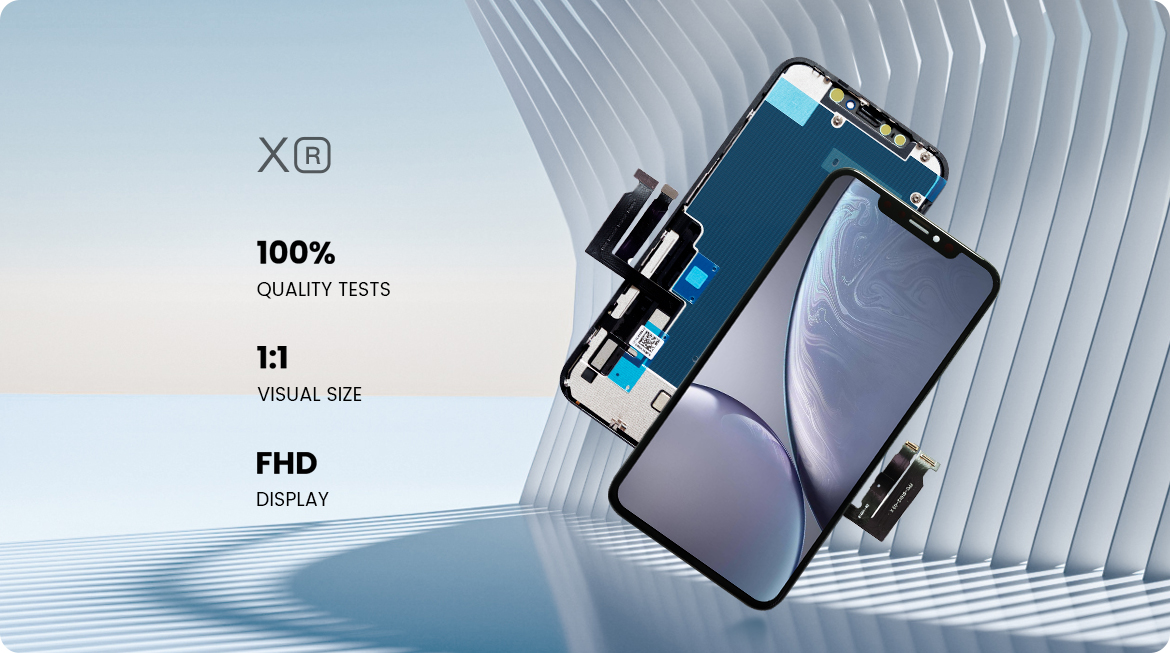 详细信息 xr (1)