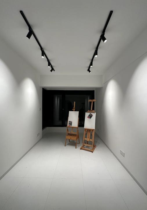 Track Lighting Illuminates Versatile Applications Across Industries