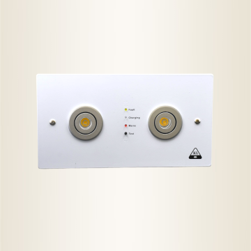 2x1w Recess Mounted LED Twin-Spot Emergency Light